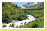 Lonza mit Langgletscher Lonza mit Langgletscher