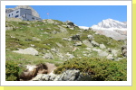 Anenhütte Anenhütte